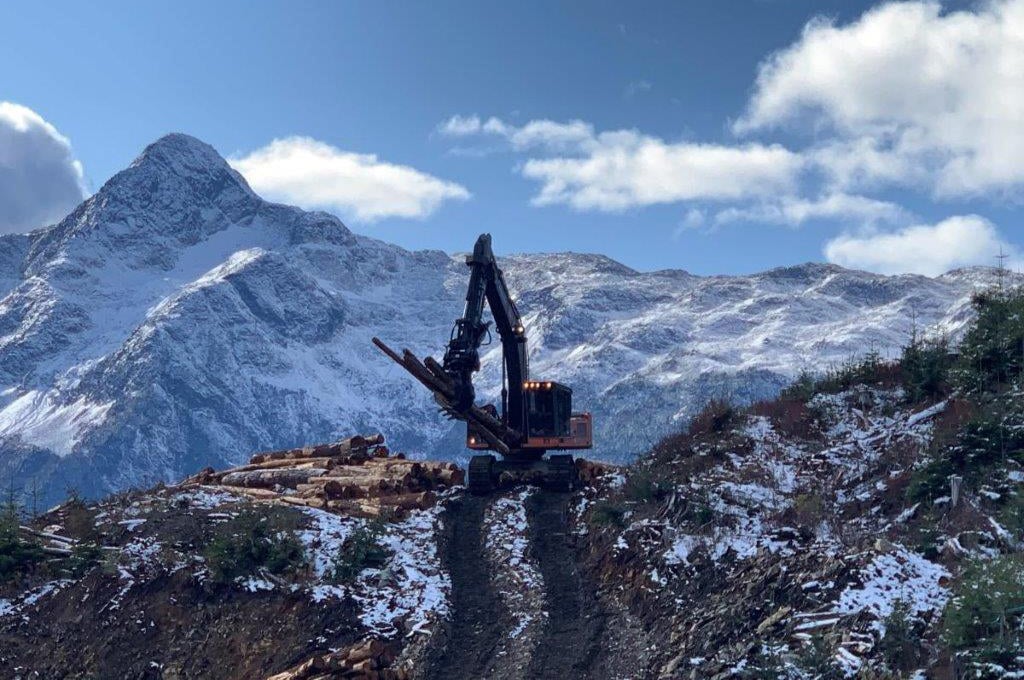 Excavator Picking up Logs